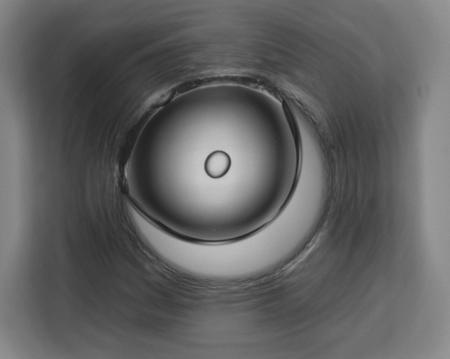 X0000112931161200908311311