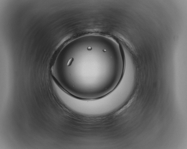 X0000112931162200908311311