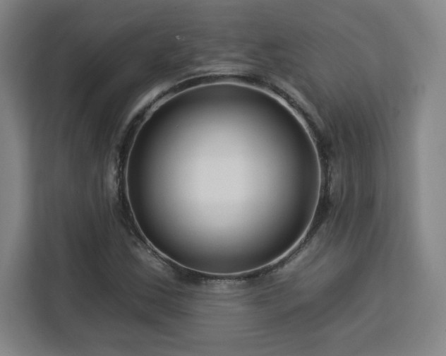 X0000112931163200908311311