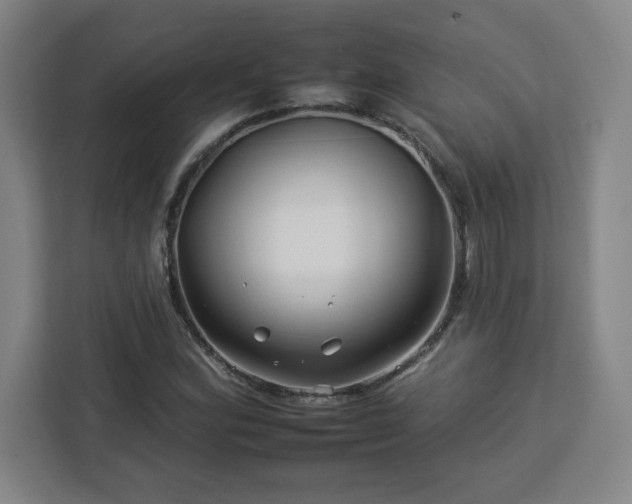 X0000112931164200908311311