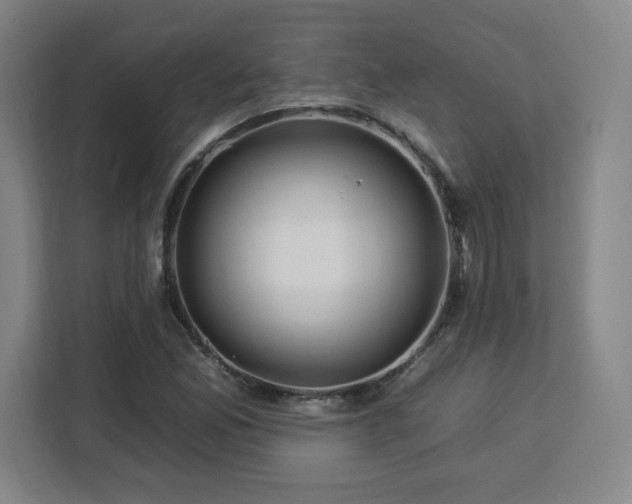 X0000112931165200908311311