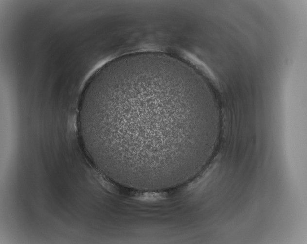 X0000112931166200908311311