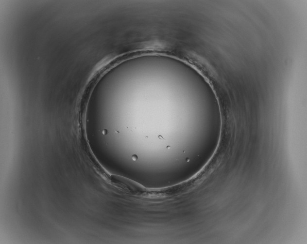 X0000112931168200908311311