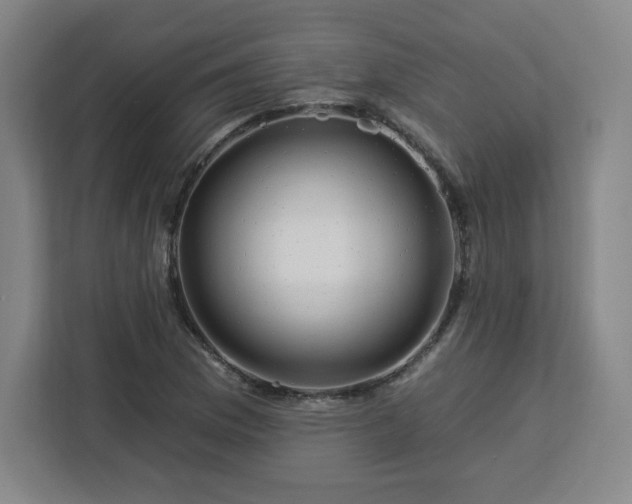 X0000112931169200908311311