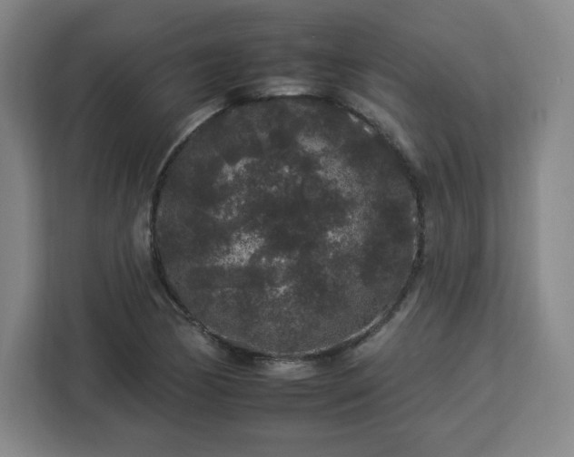 X0000112931170200908311311