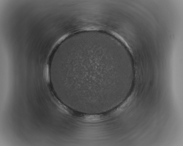 X0000112931171200908311311