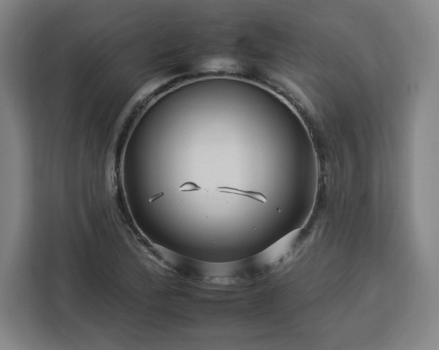 X0000112931172200908311311