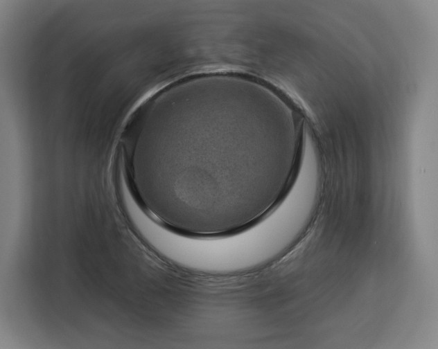 X0000112931173200908311311