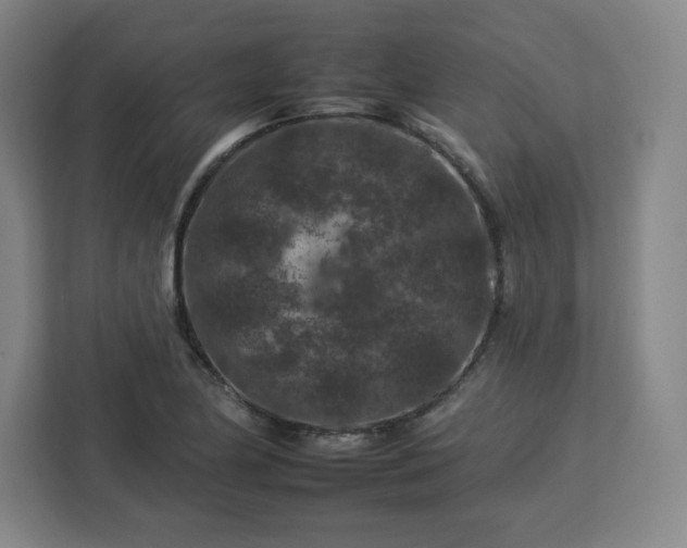 X0000112931174200908311311