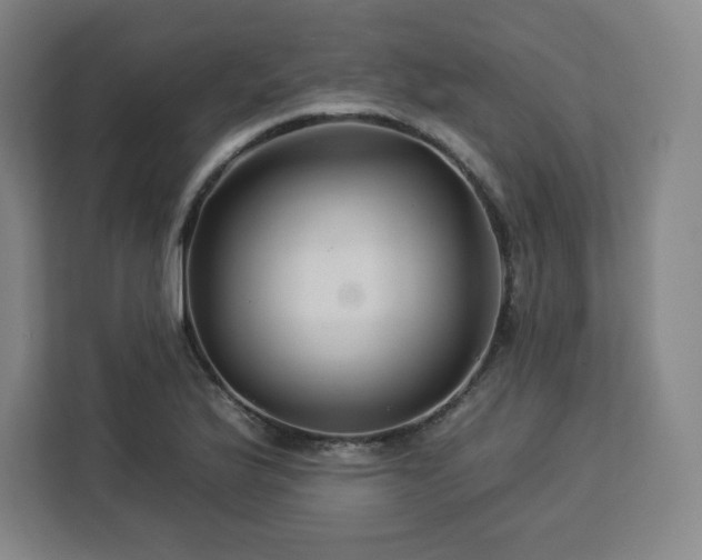 X0000112931175200908311311