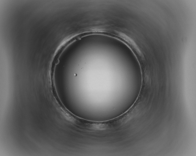 X0000112931176200908311311