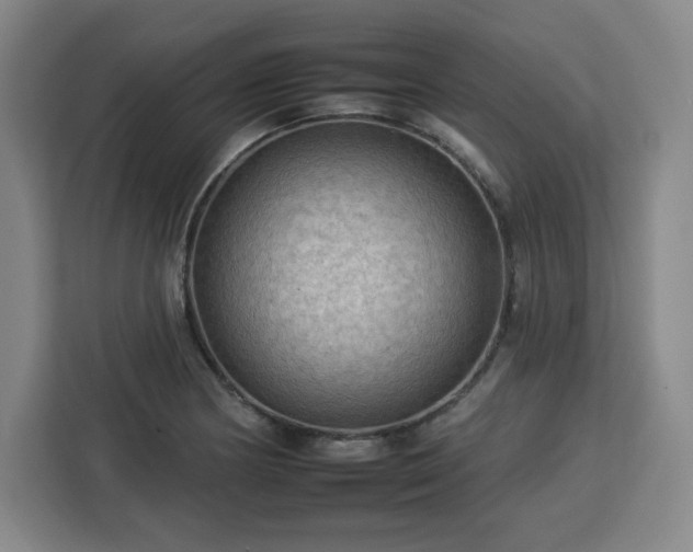 X0000112931178200908311311