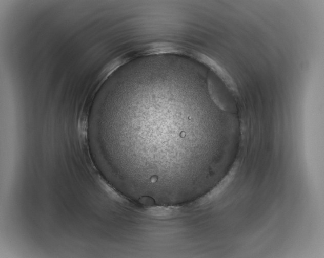 X0000112931185200908311311