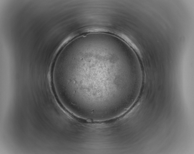 X0000112931189200908311311