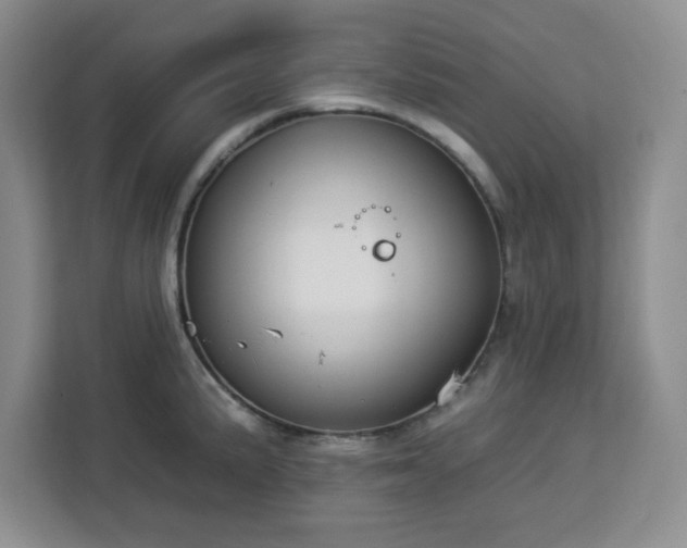 X0000112931191200908311311