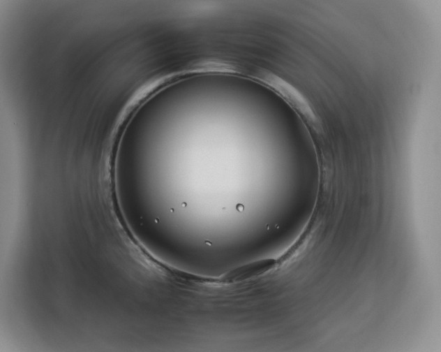 X0000112931192200908311311