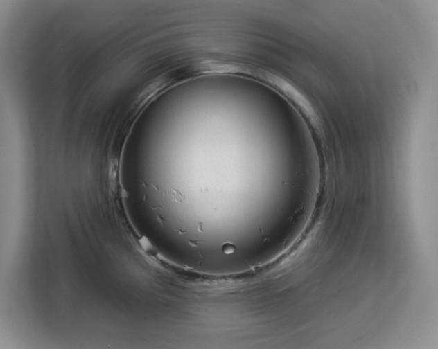 X0000112931193200908311311