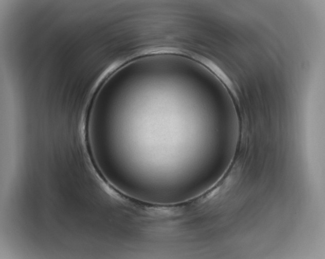 X0000112931197200908311311