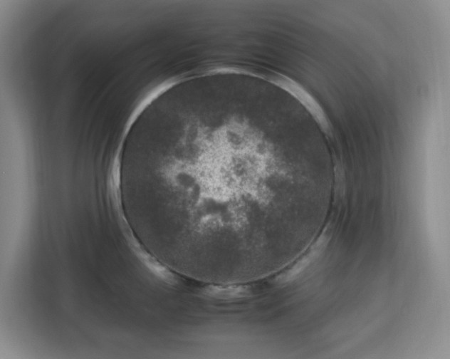 X0000112931198200908311311