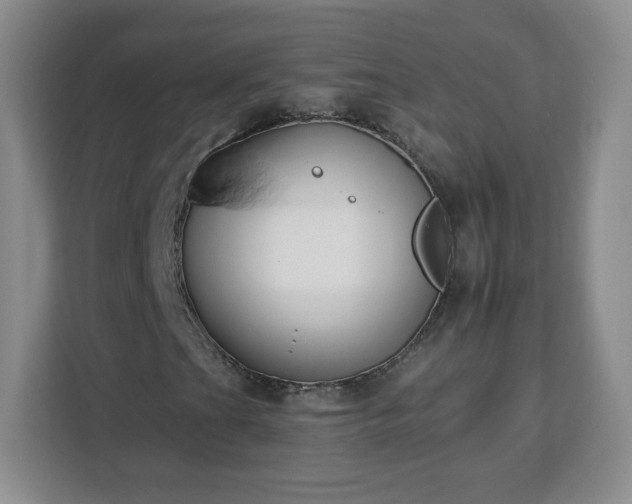 X0000112931201200908311310