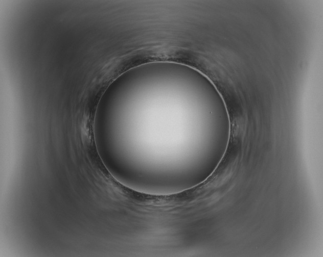 X0000112931202200908311310