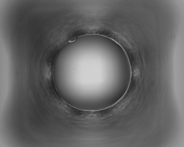 X0000112931204200908311310