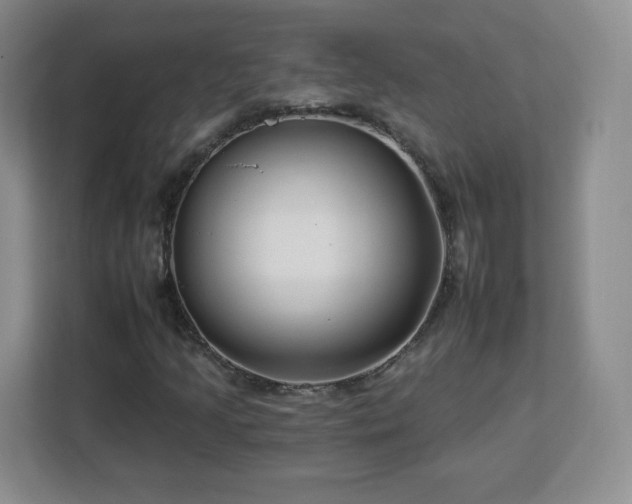 X0000112931205200908311310