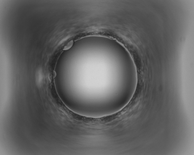 X0000112931206200908311310