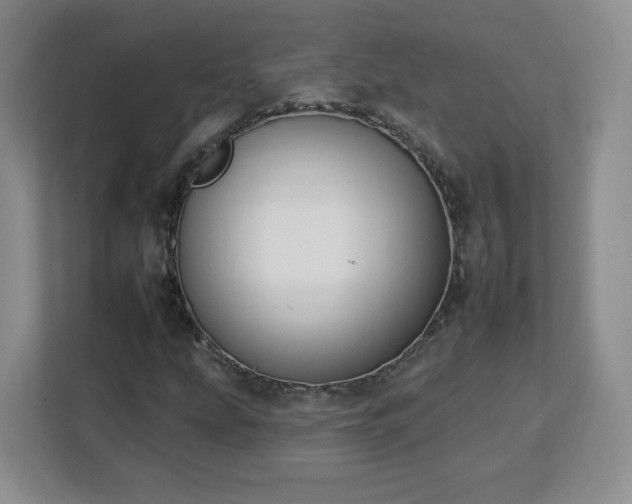 X0000112931207200908311310