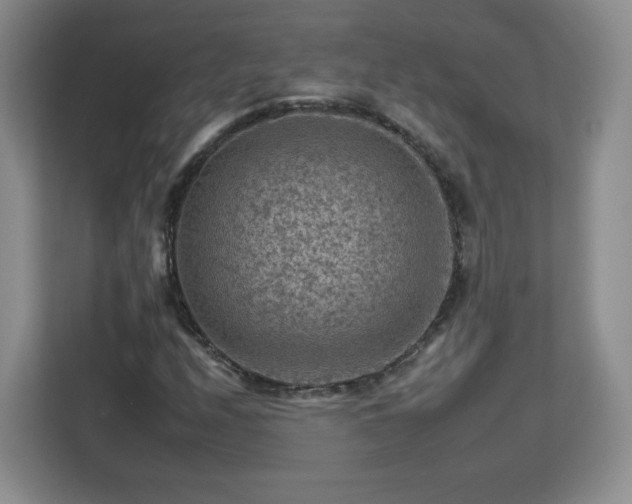 X0000112931208200908311310