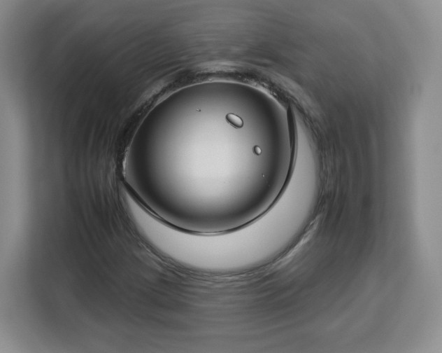 X0000112931209200908311310