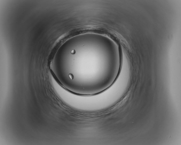 X0000112931210200908311310