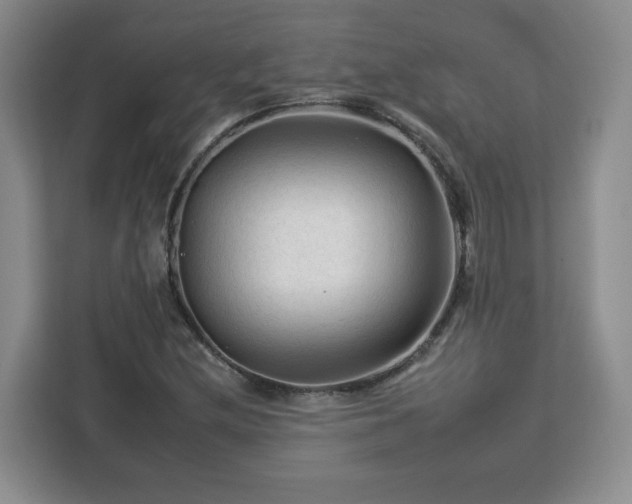 X0000112931212200908311310