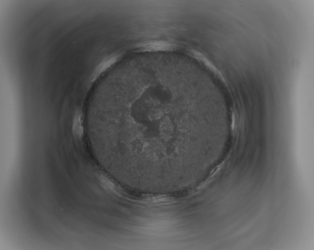 X0000112931213200908311310