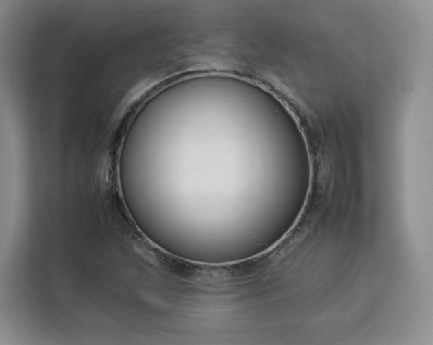 X0000112931215200908311310