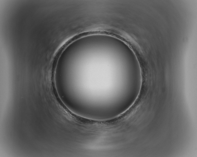 X0000112931216200908311310