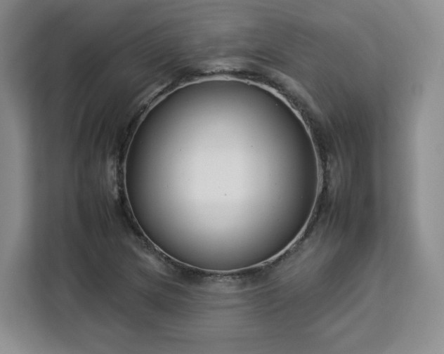 X0000112931217200908311310