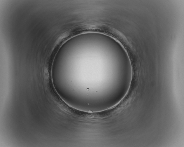 X0000112931218200908311310