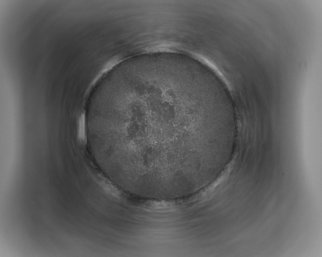 X0000112931219200908311310