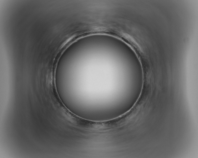 X0000112931220200908311310