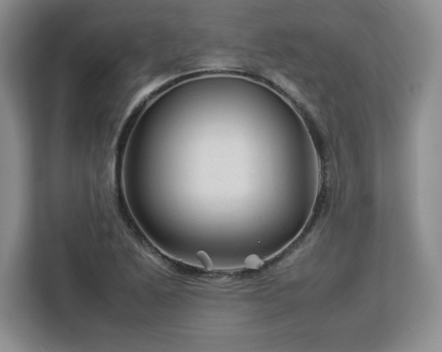 X0000112931222200908311310