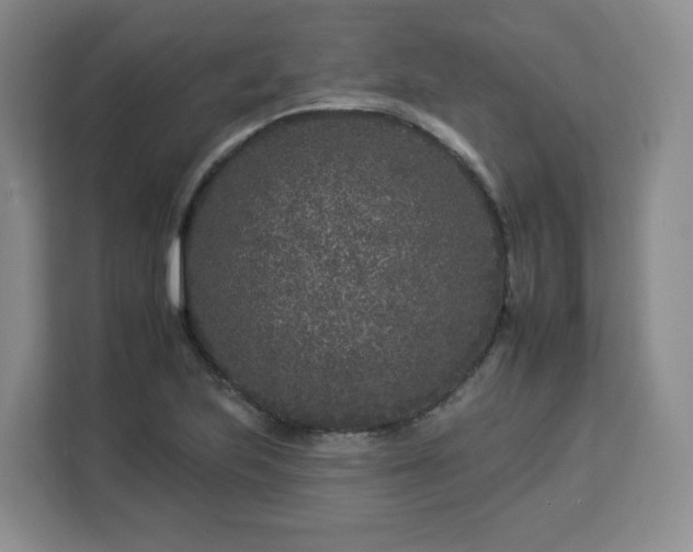 X0000112931223200908311310