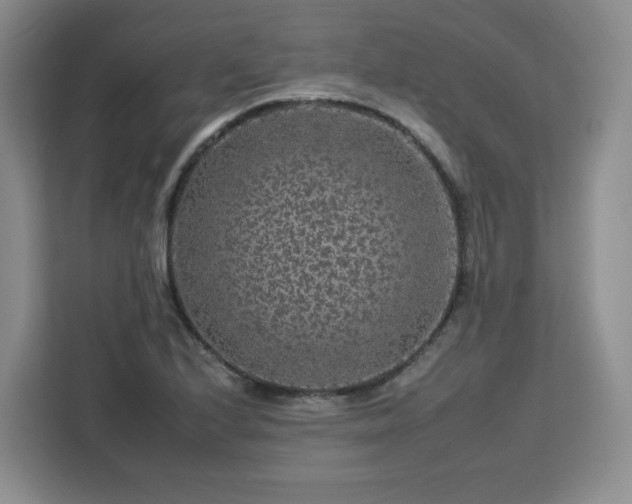 X0000112931224200908311311