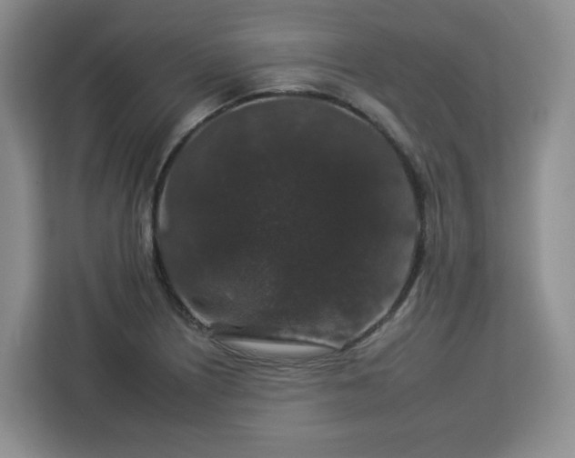 X0000112931226200908311311