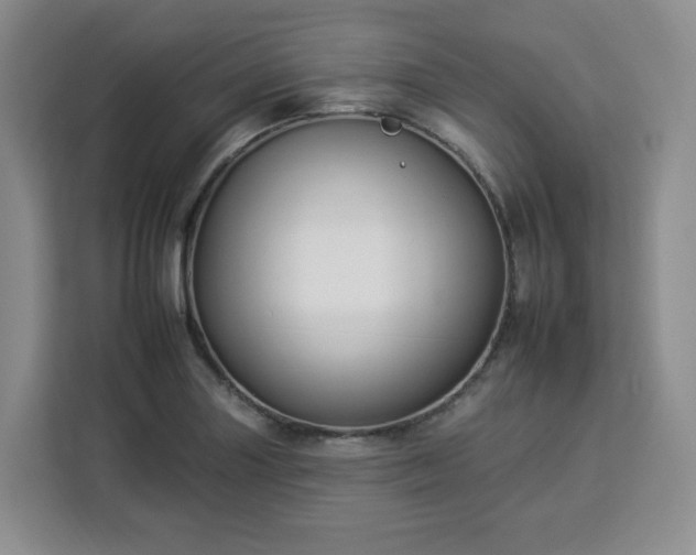 X0000112931227200908311311