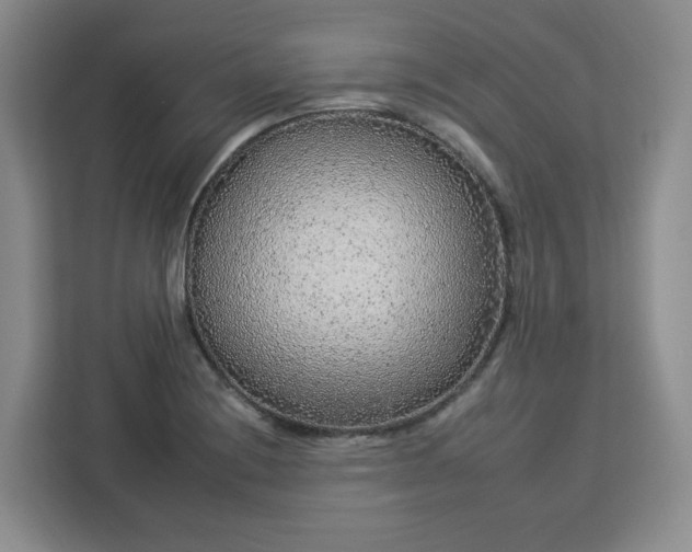 X0000112931228200908311311