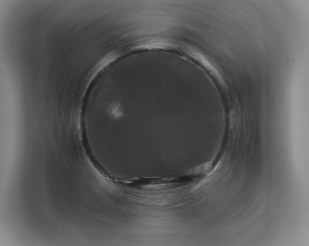 X0000112931229200908311311