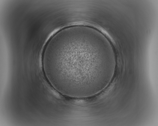 X0000112931230200908311311