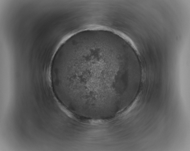 X0000112931231200908311311