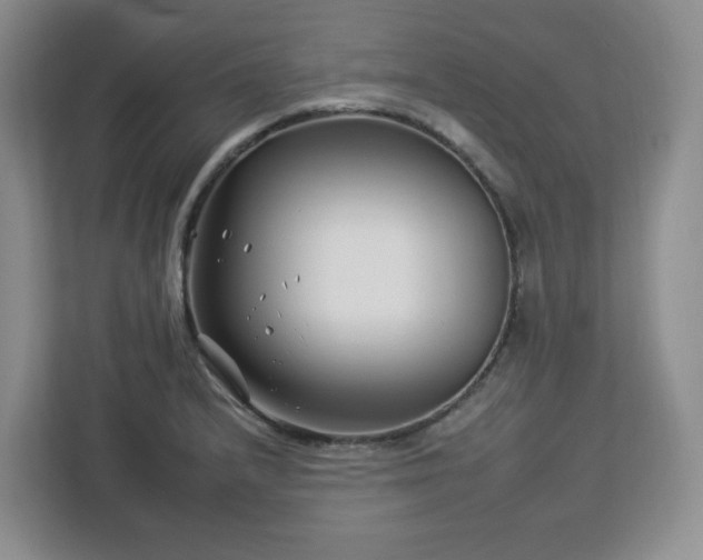 X0000112931232200908311311